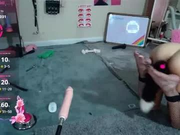 droolybambi on Chaturbate 