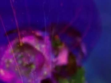 Freechat heybanan on Chaturbate