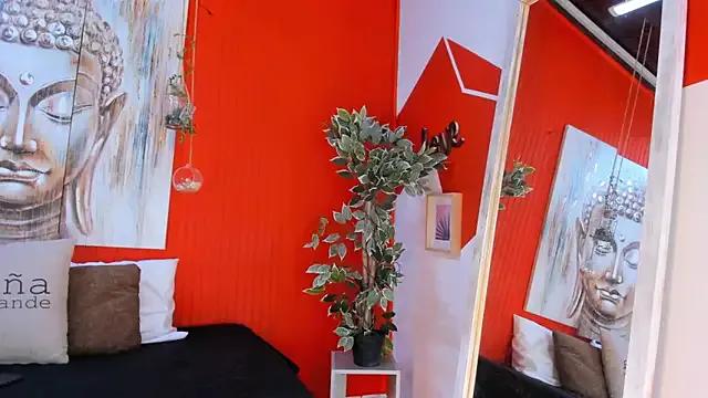 Freechat grace_miller03 on StripChat