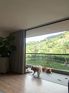 Helenbronwx on StripChat