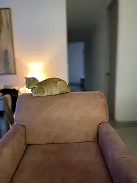 Freechat Im_Valentina on StripChat